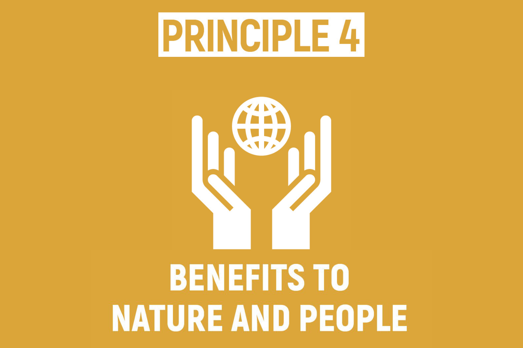 ECOSYSTEM RESTORATION AIMS TO ACHIEVE THE HIGHEST LEVEL OF RECOVERY FOR BIODIVERSITY, ECOSYSTEM HEALTH AND INTEGRITY, AND HUMAN WELL-BEING
