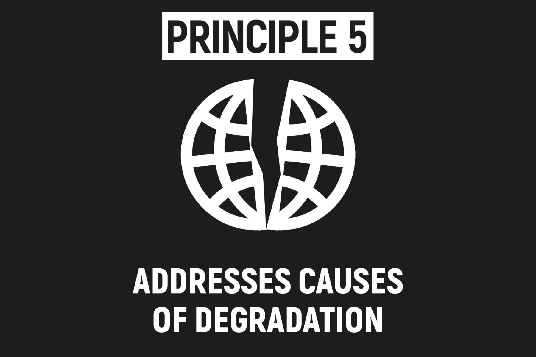 ECOSYSTEM RESTORATION ADDRESSES THE DIRECT AND INDIRECT CAUSES OF ECOSYSTEM DEGRADATION