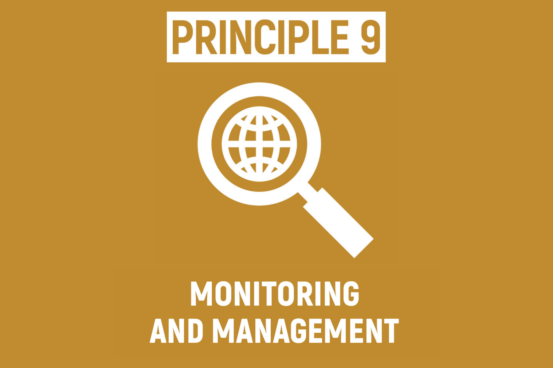 ECOSYSTEM RESTORATION INCLUDES MONITORING, EVALUATION AND ADAPTIVE MANAGEMENT THROUGHOUT AND BEYOND THE LIFETIME OF THE PROJECT OR PROGRAMME